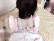 爆操粉色洛丽塔 青春女友
