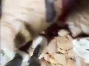 姐姐和闺蜜去户外郊游我和姐姐第一次户外野战姐姐竟然刮逼毛是一线天白虎逼